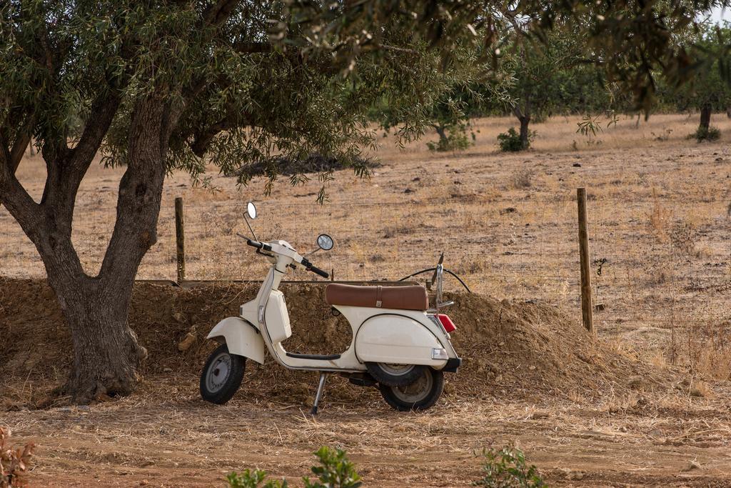 منزل الضيف كاباناس تْدي تافيرا  في Pensao Agricola المظهر الخارجي الصورة