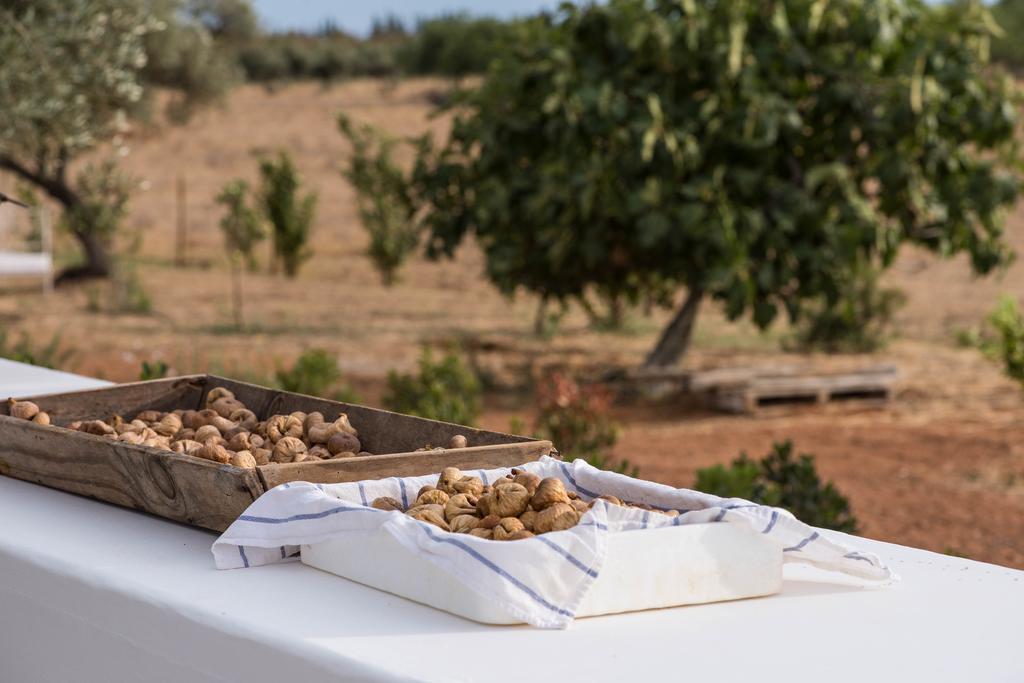 منزل الضيف كاباناس تْدي تافيرا  في Pensao Agricola المظهر الخارجي الصورة