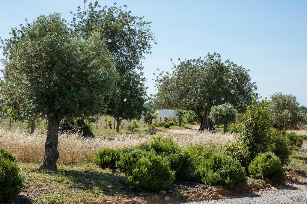 منزل الضيف كاباناس تْدي تافيرا  في Pensao Agricola المظهر الخارجي الصورة